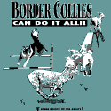 Border Collies Can Do It All!