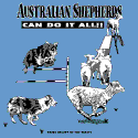 Australian Shepherds Can Do It All