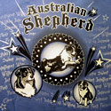 Australian Shepherd Spotlight