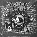 Border Collie Spotlight