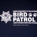 Bird Patrol