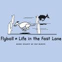 Flyball--Life in the Fast Lane